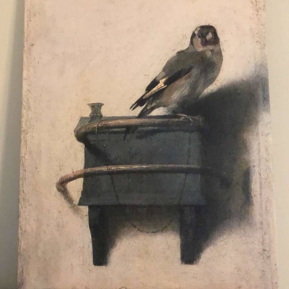 Meet your Posher, Kimberly